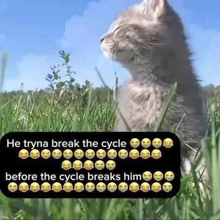 A cat sitting up in tall grass, captioned ‘He tryna break the cycle before the cycle breaks him’
